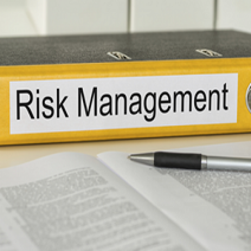 Risk Management and Your Organization