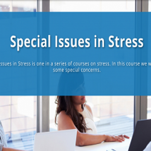 Special Issues in Stress