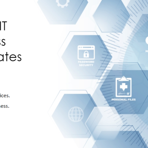 HIPAA - IT Business Associates 2024